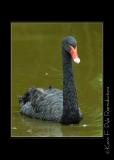 Zoo of Acadiana-0008.jpg