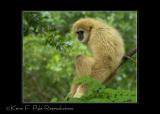 Zoo of Acadiana-0017.jpg