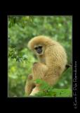 Zoo of Acadiana-0018.jpg