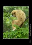 Zoo of Acadiana-0021.jpg