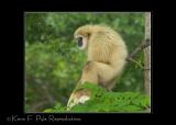 Zoo of Acadiana-0022.jpg