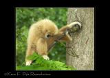 Zoo of Acadiana-0024.jpg