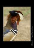 Zoo of Acadiana-0027.jpg