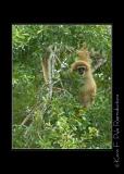 Zoo of Acadiana-0061.jpg