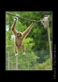 Zoo of Acadiana-0064.jpg
