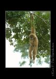 Zoo of Acadiana-0069.jpg