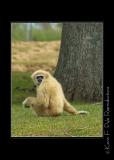 Zoo of Acadiana-0070.jpg