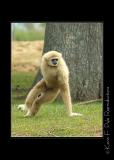 Zoo of Acadiana-0071.jpg