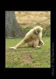 Zoo of Acadiana-0072.jpg
