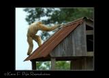 Zoo of Acadiana-0077.jpg