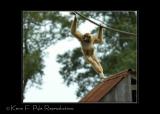 Zoo of Acadiana-0078.jpg