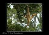 Zoo of Acadiana-0079.jpg