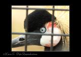 Zoo of Acadiana-0122.jpg