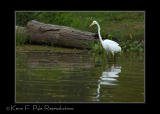 LakeMartin6 20 06-0039.jpg