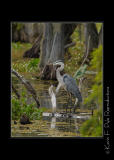 LakeMartin6 20 06-0048.jpg