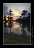LakeMartin6 20 06-0089.jpg
