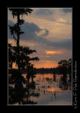 LakeMartin6 20 06-0091.jpg