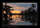 LakeMartin6 20 06-0095.jpg