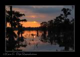 LakeMartin6 20 06-0096.jpg