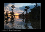 LakeMartin6 20 06-0098.jpg