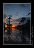 LakeMartin6 20 06-0100.jpg