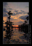 LakeMartin6 20 06-0110.jpg