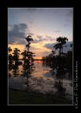 LakeMartin6 20 06-0111.jpg
