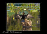 LakeMartin 6 28 06-0052.jpg