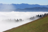 Fog megla_MG_3169-11.jpg