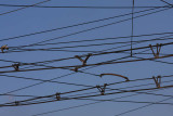 Wires ice_MG_3458-1.jpg