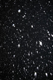 Snowing sneenje_MG_6370-11.jpg