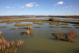 Isola della Cona nature reserve_MG_2614-11.jpg