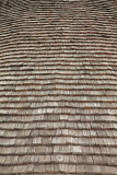Shingle roof skodle_MG_0402-11.jpg