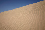 Desert puava_MG_4411-1.jpg