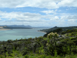 Hokianga