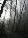 spectral