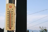 mercury rising
