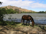 from the hill on the left, Mirador Del Diablo, by Charco Verde.....