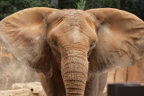 zoo