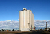 Dumas - Moore County Grain Co.