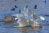 12 28 08_8008_edited-2.jpg