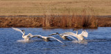 12 28 08_8050_edited-1.jpg