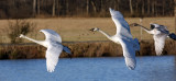 12 28 08_8067_edited-2.jpg