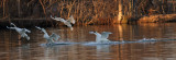 12 28 08_8151_edited-2.jpg