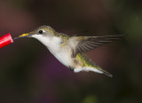 20120923_3343.jpg
