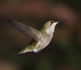 20120923_3651.jpg