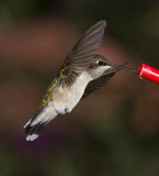 20120923_3686.jpg