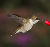 20120923_3805.jpg
