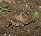 20121012_7080.jpg