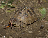 20121012_7075.jpg